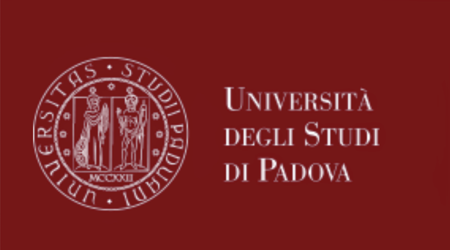 Clicca per accedere all'articolo Università degli studi di Padova - Master in Digital Healthcare